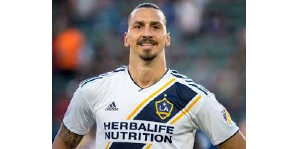 AC Milan underskrevet af Ibrahimović